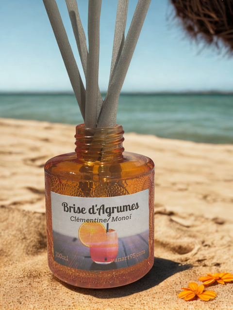 Diffuseur d’Ambiance