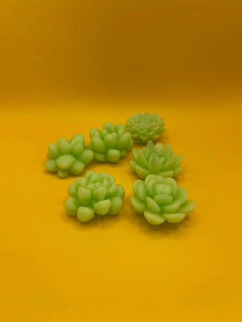 Lot de 6 Fondants de Cire "Cactus"