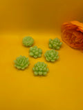 Lot de 6 Fondants de Cire "Cactus"