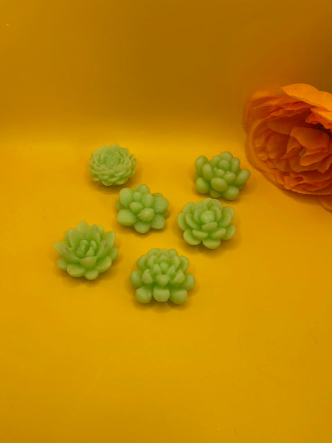 Lot de 6 Fondants de Cire "Cactus"